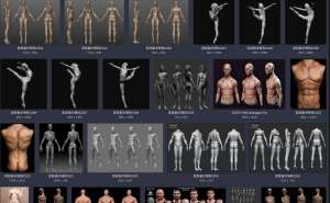 美术绘画 艺用三维3D人体雕塑解剖 肌肉骨骼结构 参考资料图片