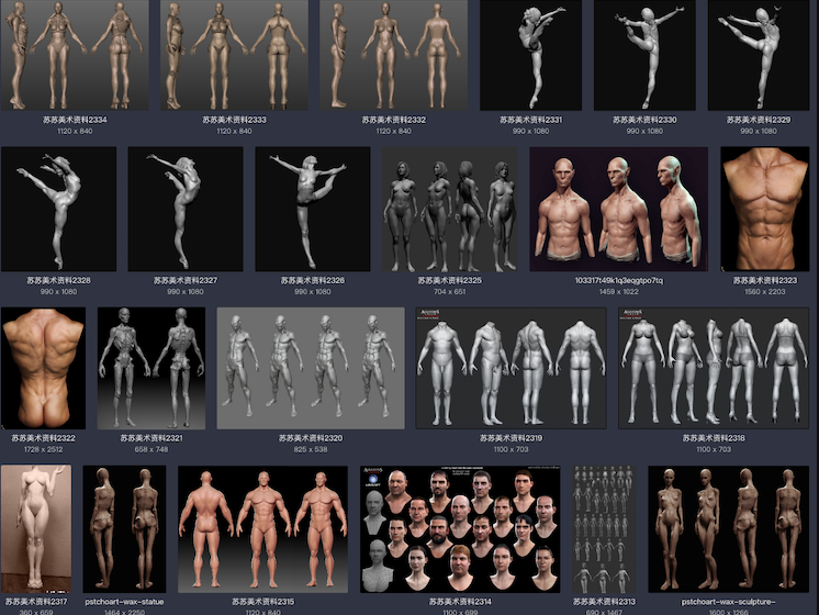 美术绘画 艺用三维3D人体雕塑解剖 肌肉骨骼结构 参考资料图片 3dmax 游戏动画 游戏模型 第1张