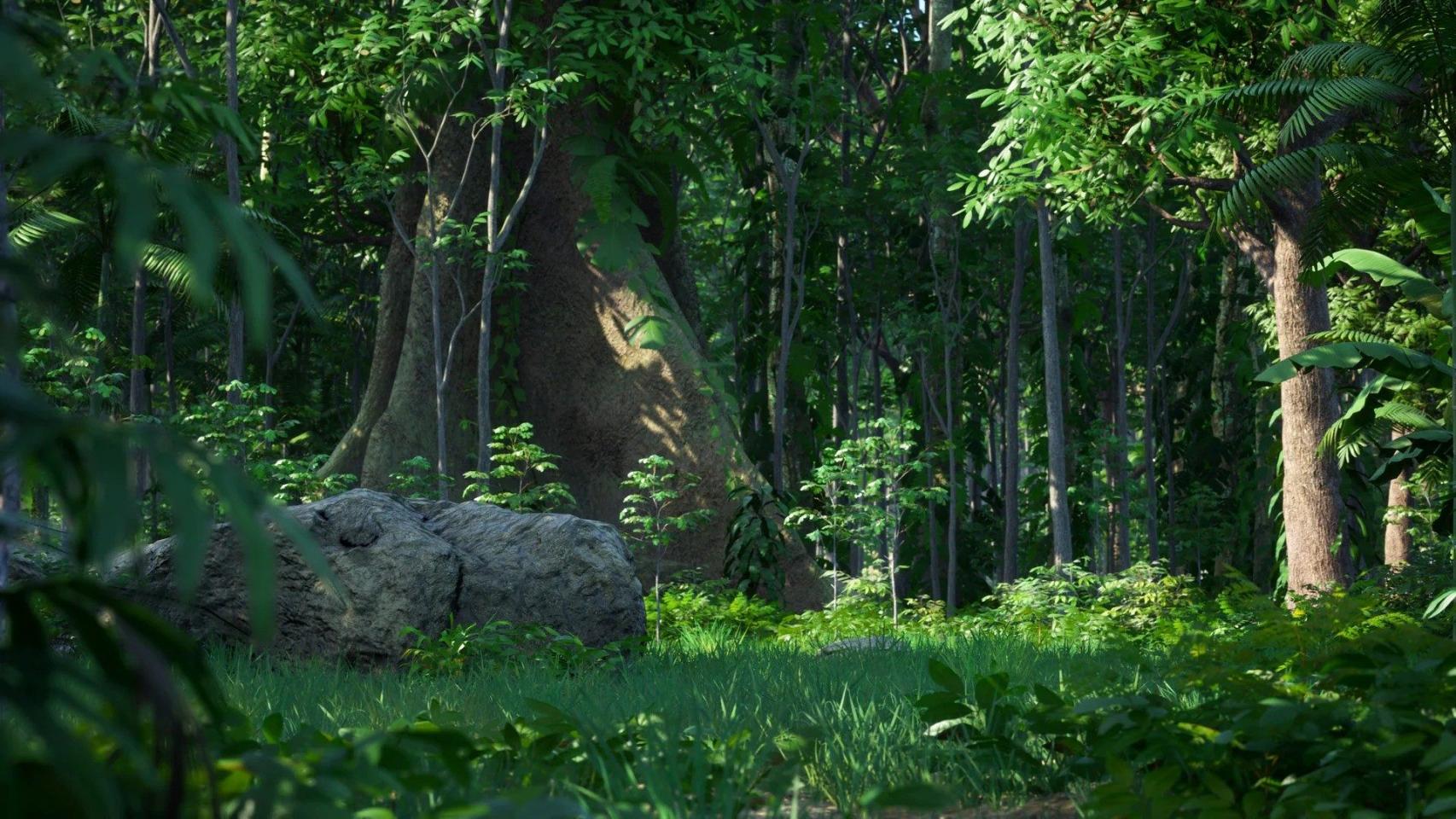 Rain Forest Pack-虚幻引擎热带雨林资源包 虚幻引擎 资源包 树木 热带雨林 第5张