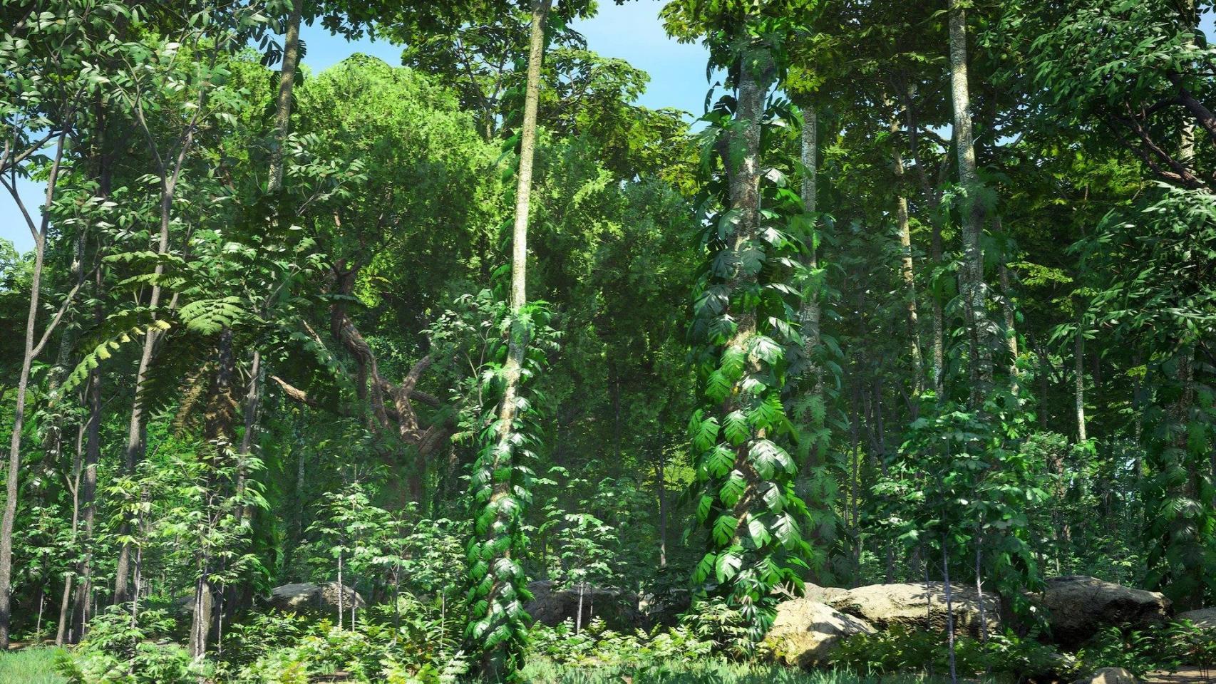 Rain Forest Pack-虚幻引擎热带雨林资源包 虚幻引擎 资源包 树木 热带雨林 第15张