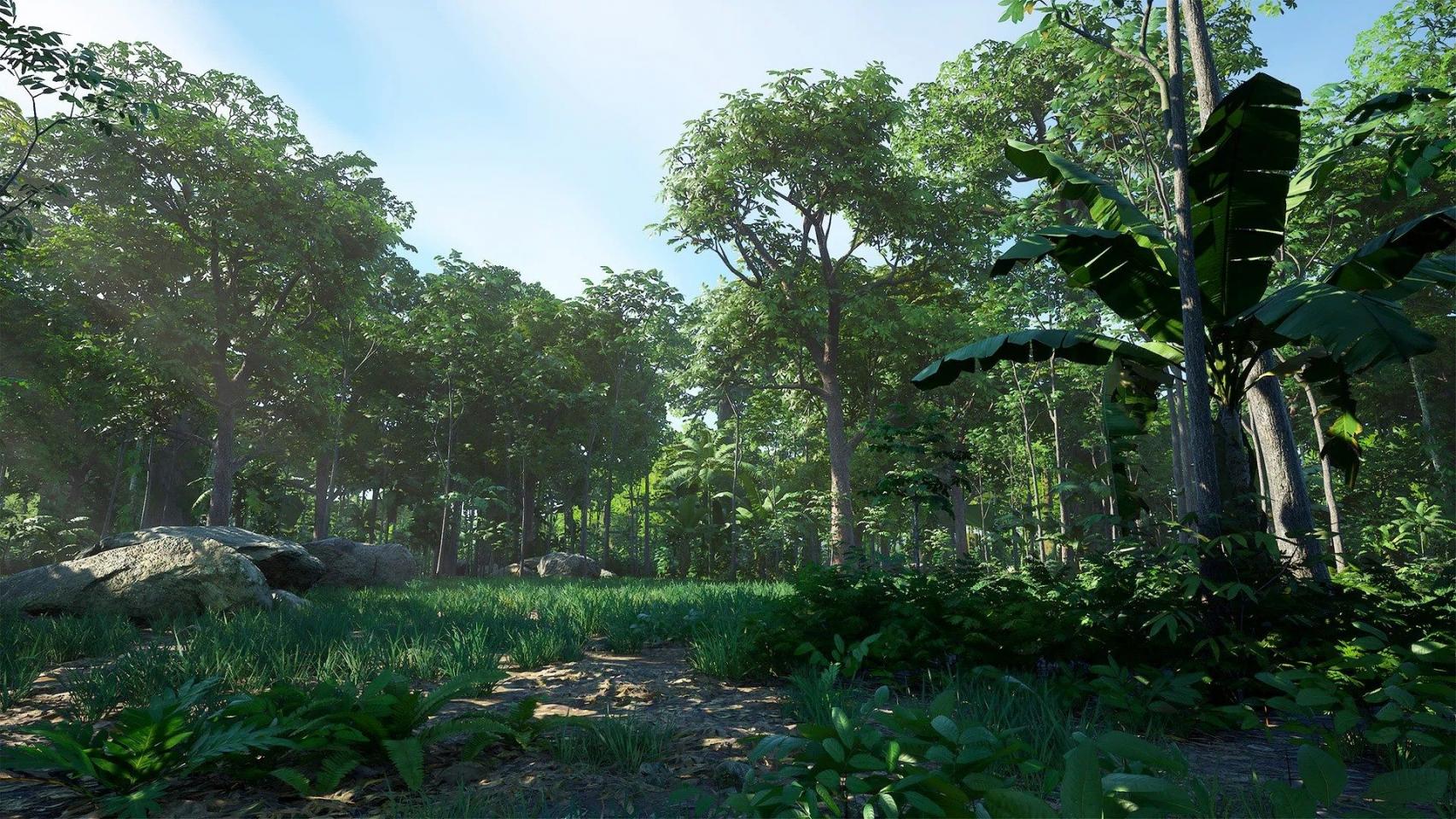 Rain Forest Pack-虚幻引擎热带雨林资源包 虚幻引擎 资源包 树木 热带雨林 第14张